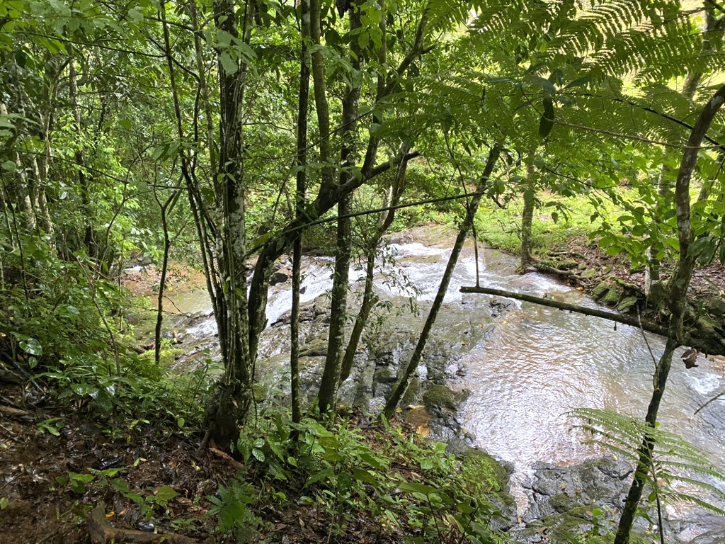 River and forest scenery beside La Colina at Hacienda La Palma